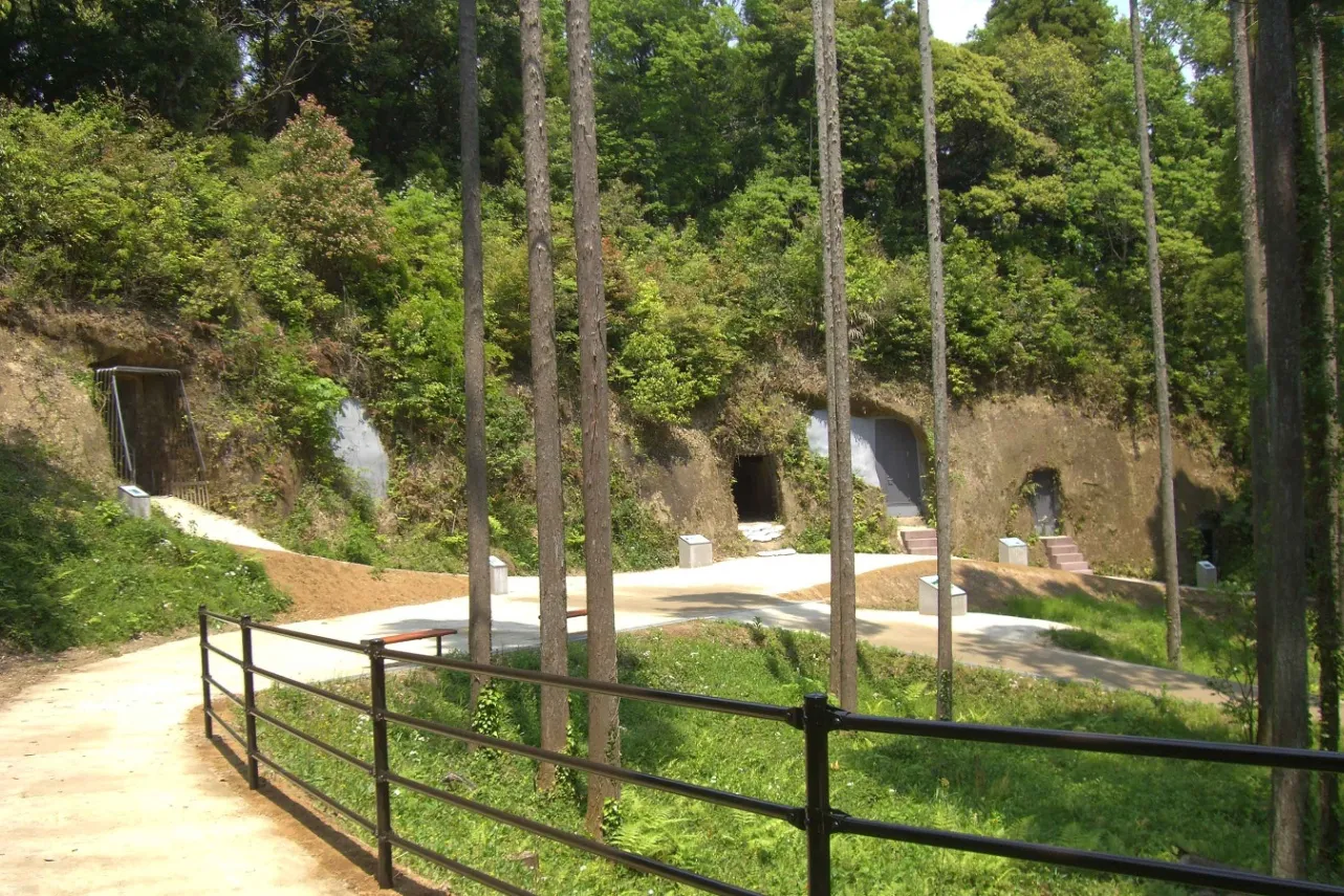 ▲第1支群の中の第2小支群／写真提供：長柄町教育委員会生涯学習課