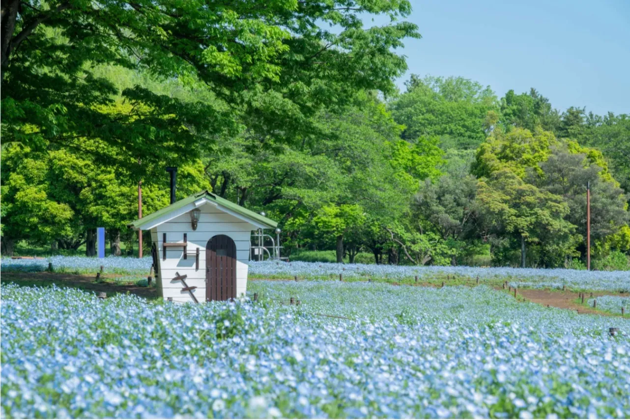 ▲みんなの原っぱ・ミニハウス（過去の様子）