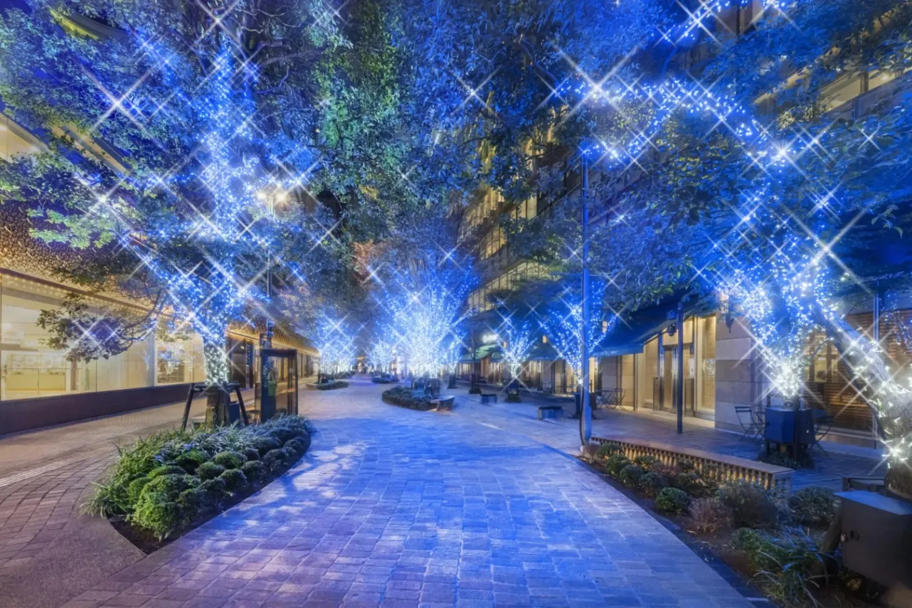 ▲「HIBIYA AREA ILLUMINATION」（昨年の様子）