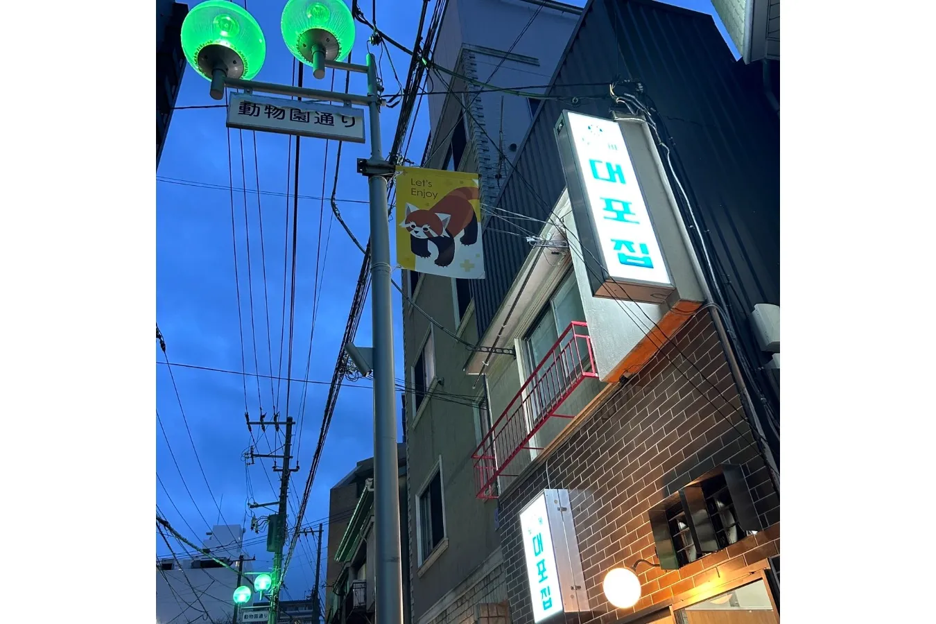 韓国料理店「野毛テポチ」が首都圏初出店！昼呑みキャンペーンも開始_1456647