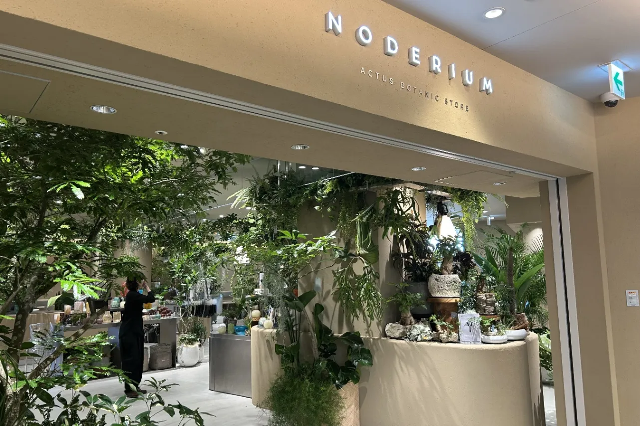 ▲「NODERIUM/SOHOLM CAFE（ノードリウム/スーホルムカフェ）」