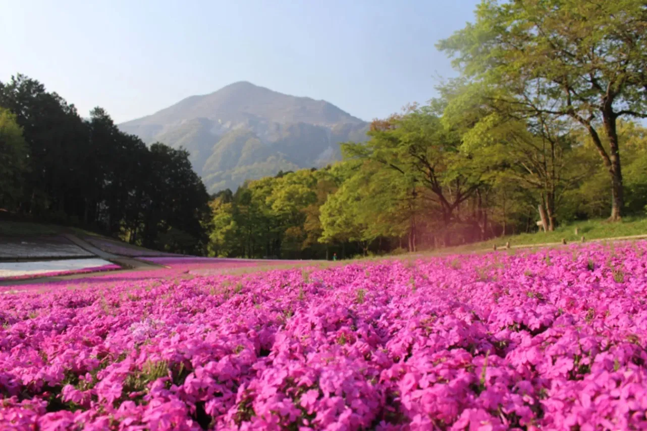 自然を感じるデートなら！自然に癒やされる関東のオススメスポット11選_2649436