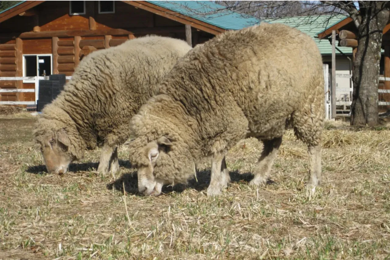 自然を感じるデートなら！自然に癒やされる関東のオススメスポット11選_2649437