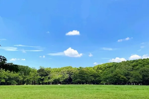 【すべて無料】東京都内の暇つぶしスポット10選