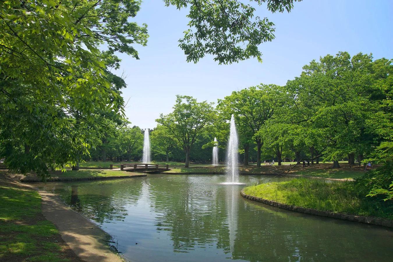 画像提供：公益財団法人東京都公園協会