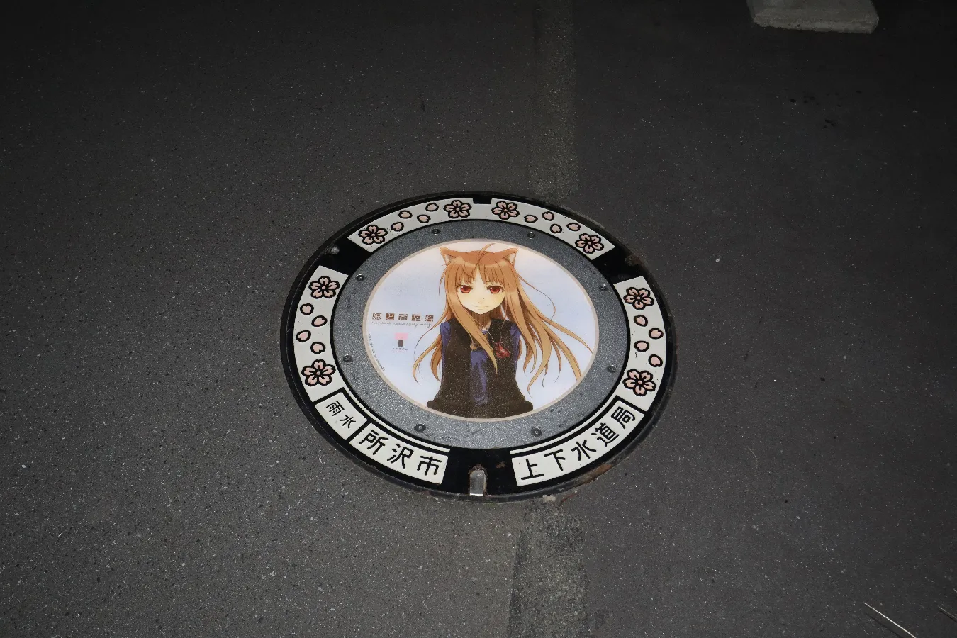 フラッシュを焚くと、蓋が光っているかどうかがわからない
「狼と香辛料」イラスト：文倉 十　ⓒIsuna Hasekura 2006