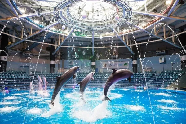 【品川デート】おすすめスポット10選！水族館に映画館、ホテルレストラン etc.