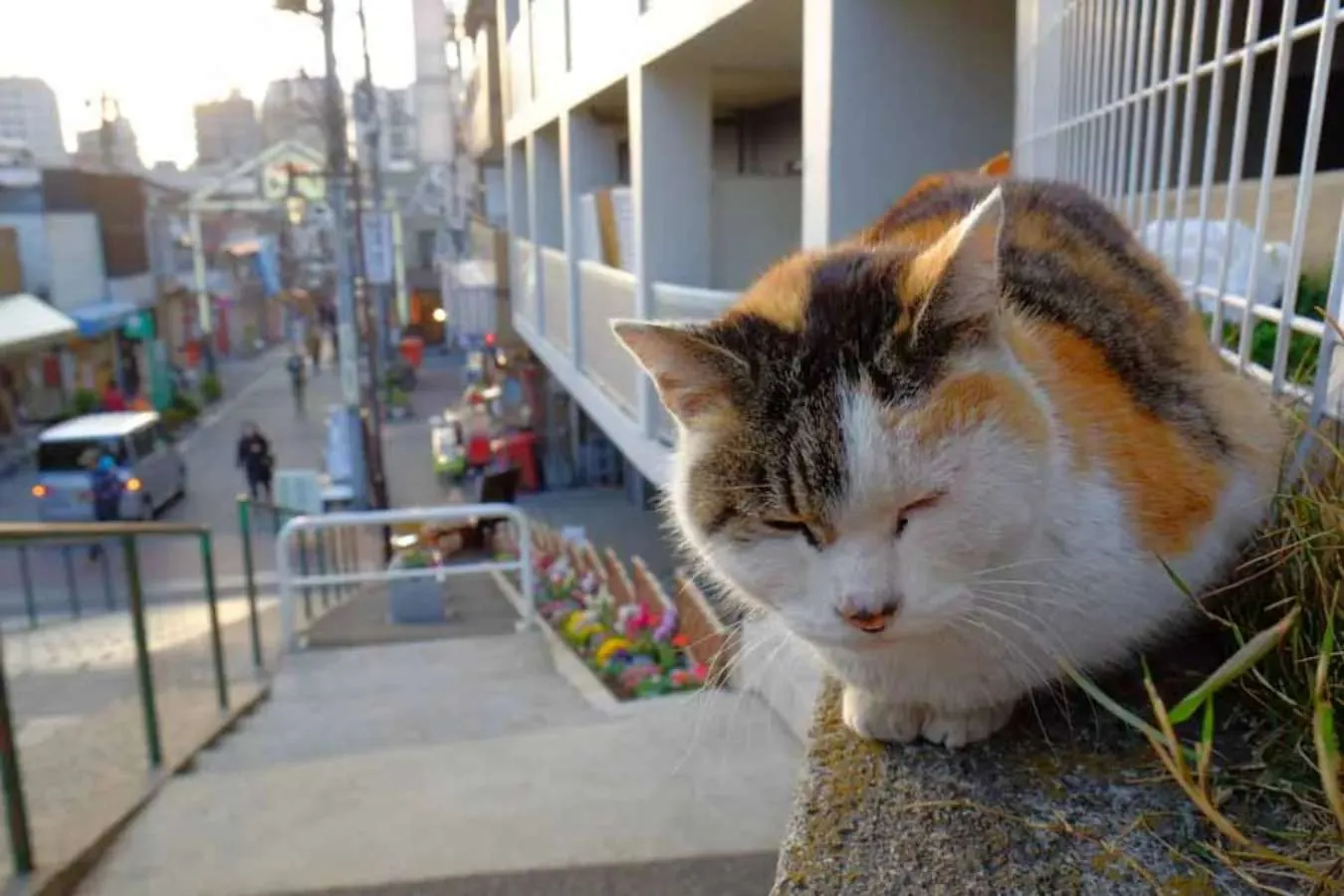 天気がいい日のおでかけに！東京のオススメ「屋外デートスポット」10選_2248134
