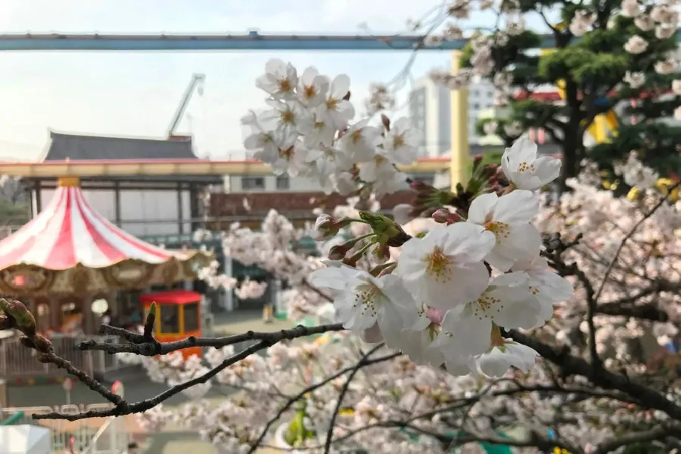 天気がいい日のおでかけに！東京のオススメ「屋外デートスポット」10選_2248141