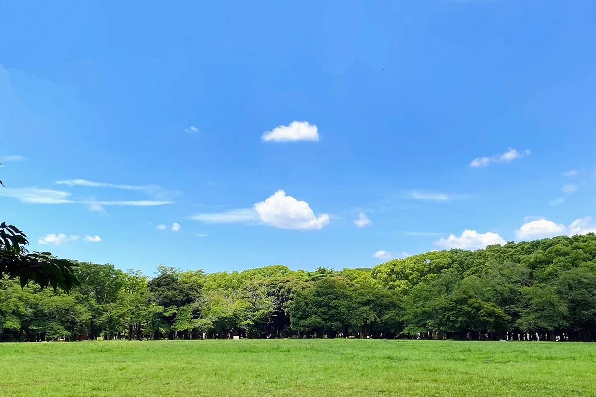 東京のオススメ「屋外デートスポット」12選！天気が良い日のおでかけに◎