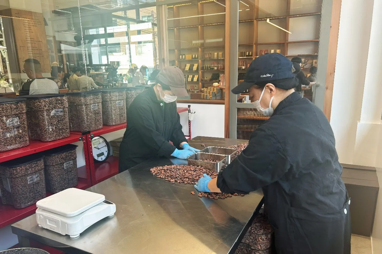 ▲欠けた豆などを手作業で取り除く様子（撮影：レッツエンジョイ東京編集部）