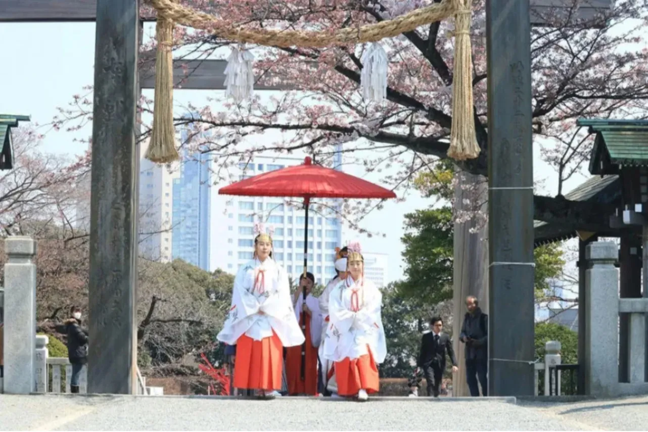 【2026】横浜で桜デートするなら！おすすめの花見スポット5選_3456681