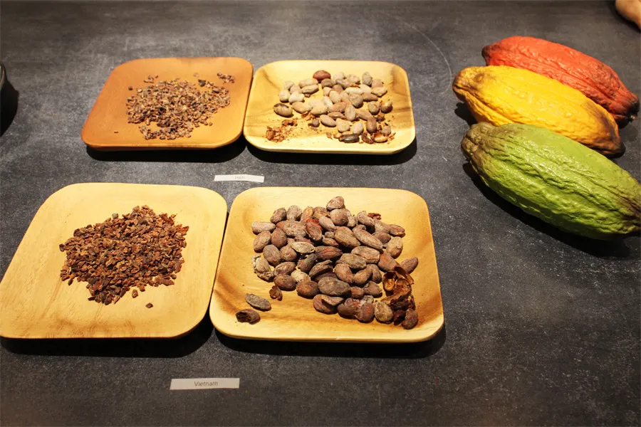 こだわり派の熱い視線を集める、ビーントゥバーチョコレートブランド『ミニマル』2号店が銀座にオープン！