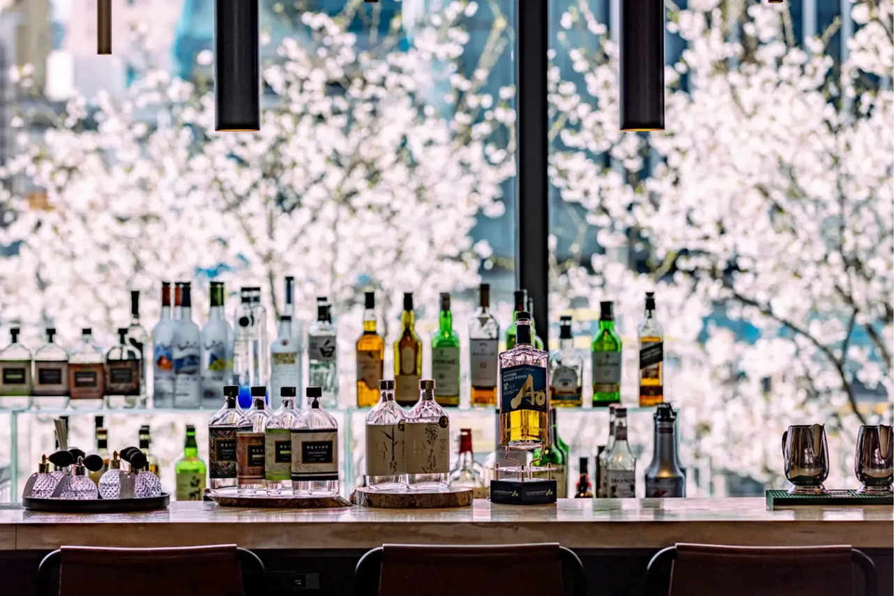 ▲例年の見ごろは3月下旬から4月上旬