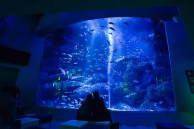 駅近&屋内で雨の日デートにオススメ!大人の遊び場11選