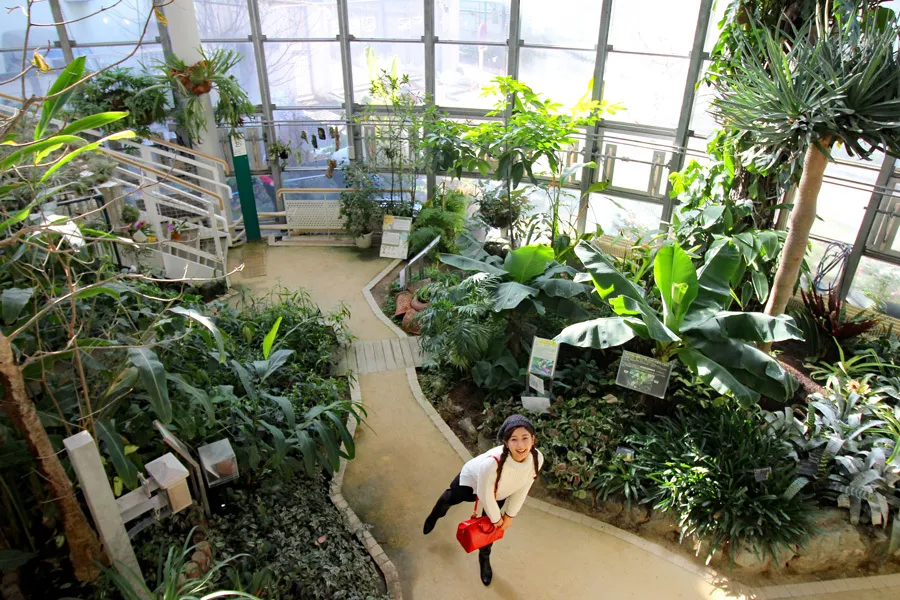 雨の日にもぴったり！100円で楽しめる渋谷の「温室植物園」でボタニカルなデート
