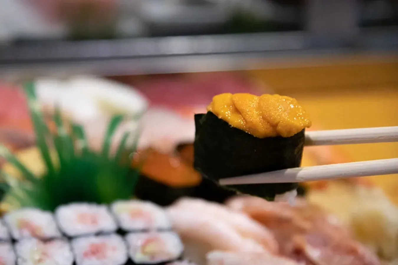 老舗職人が握るお寿司食べ放題!千歳烏山「栄寿し総本店」レポ_2077438