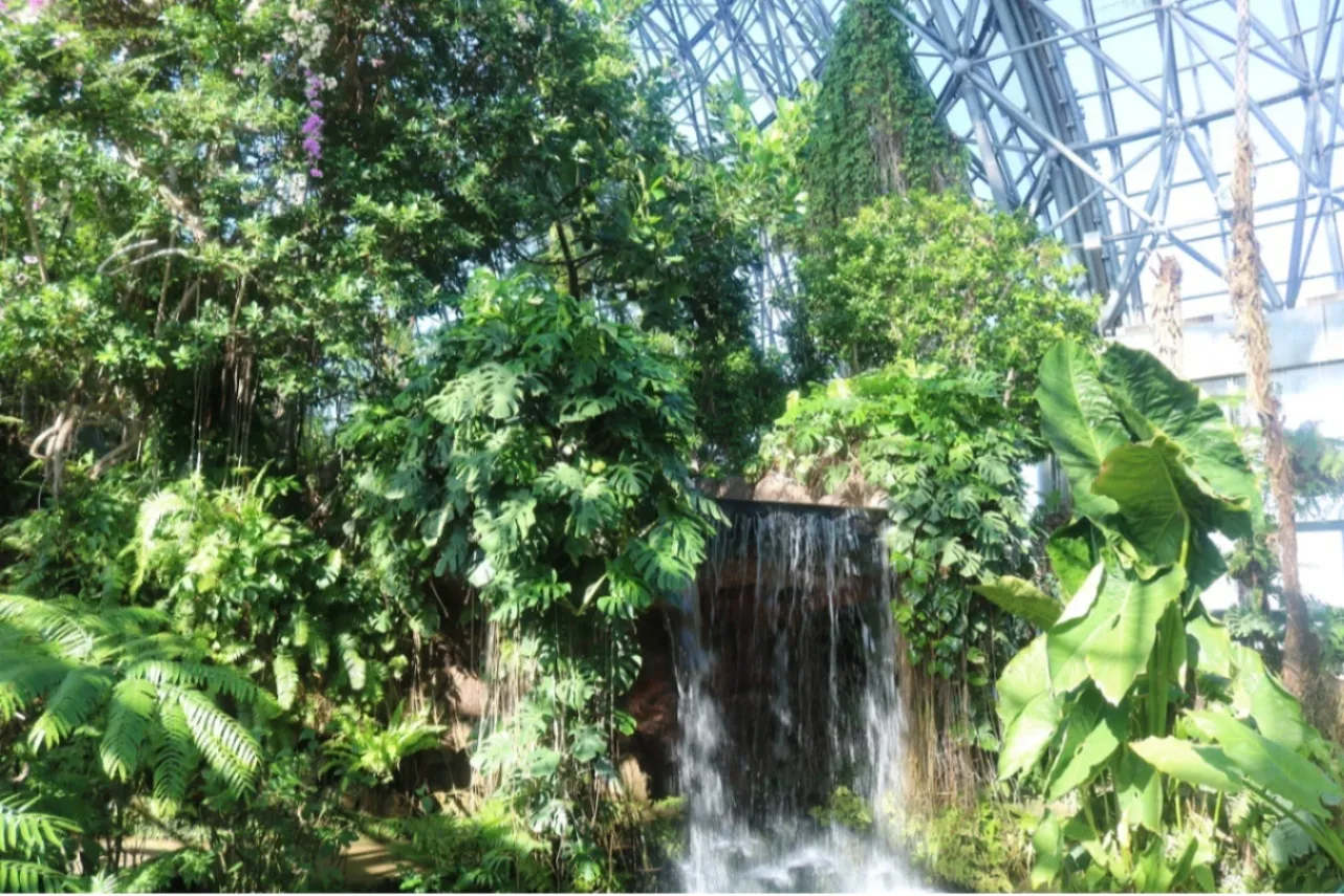 植物園デートができるオススメスポット5選_2649669
