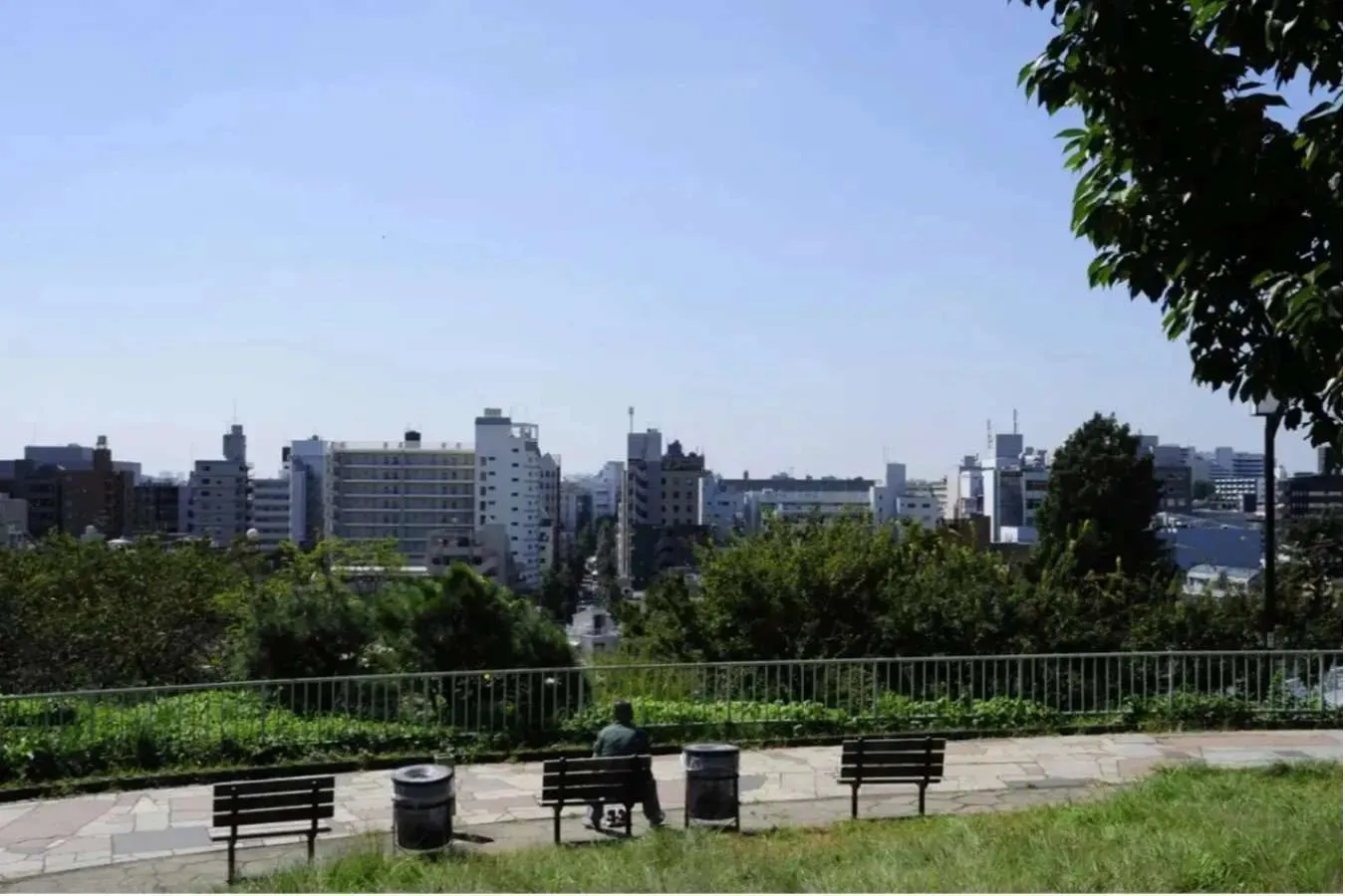 中目黒のオススメ散歩コース。目黒川の桜並木や定番スポットを巡る_3390342