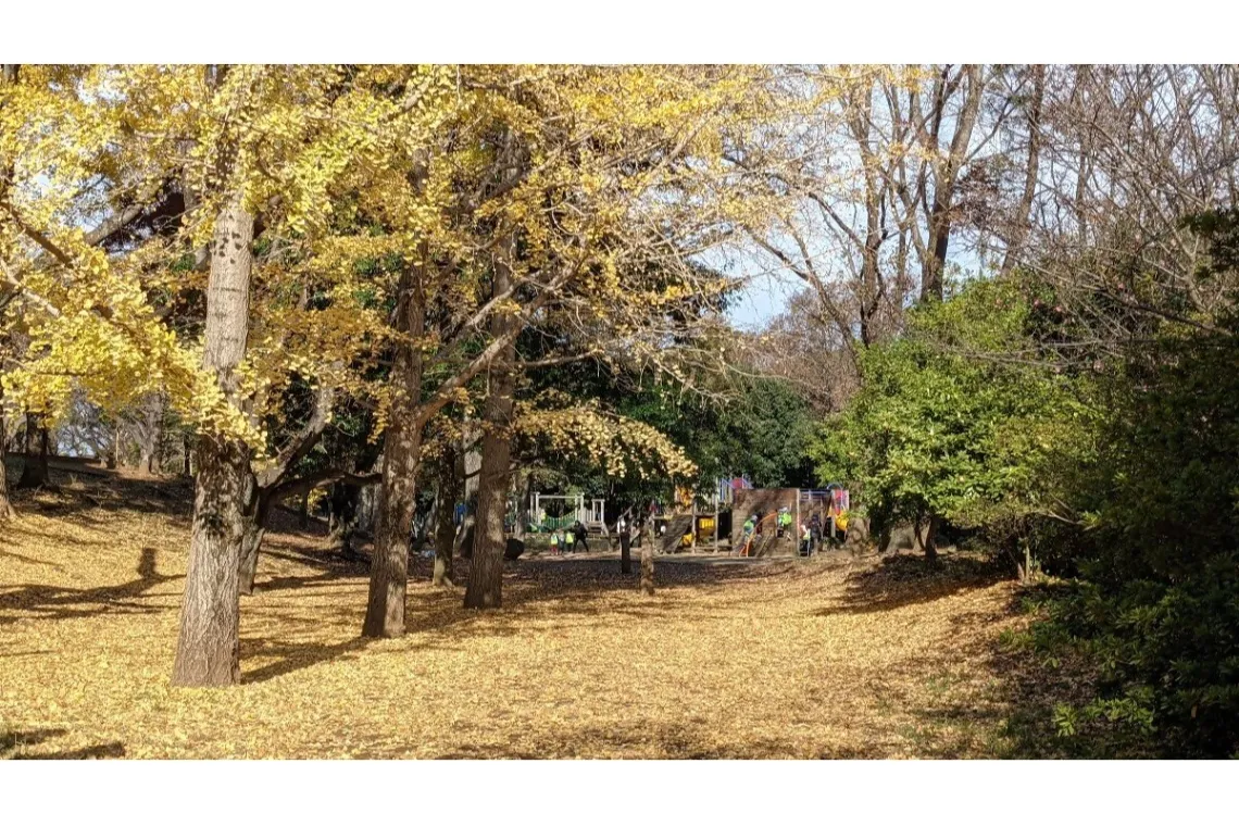 市制記念公園の紅葉情報_2