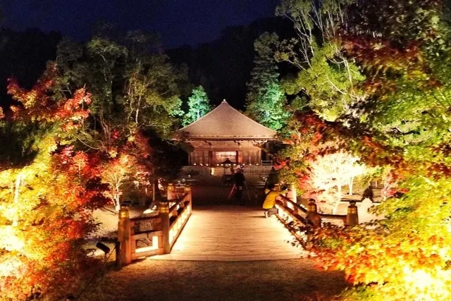 【紅葉・見ごろ】願成寺　国宝白水阿弥陀堂