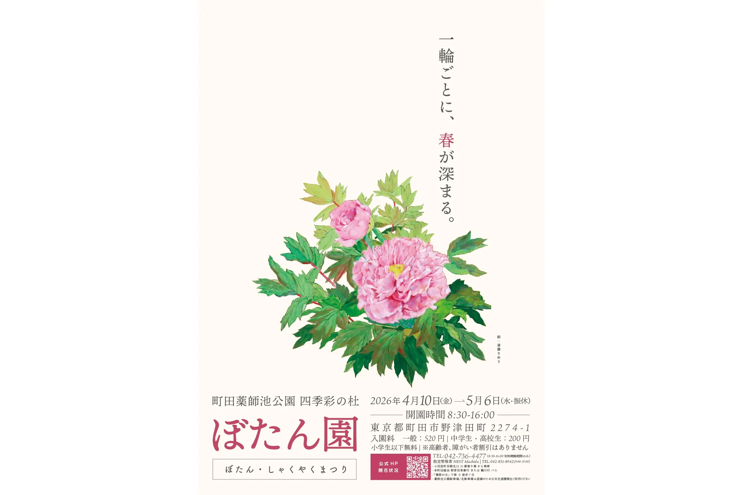 ぼたん・しゃくやくまつり【町田薬師池公園四季彩の杜 ぼたん園】