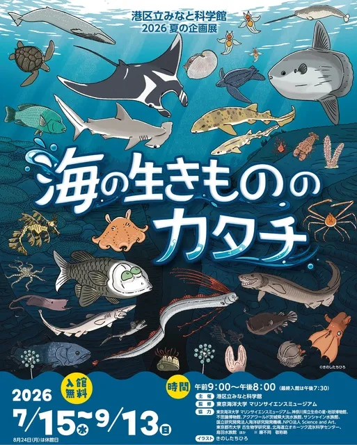 2026 夏の企画展「海の生きもののカタチ」