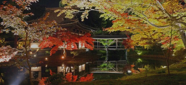 高台寺秋の夜間特別拝観