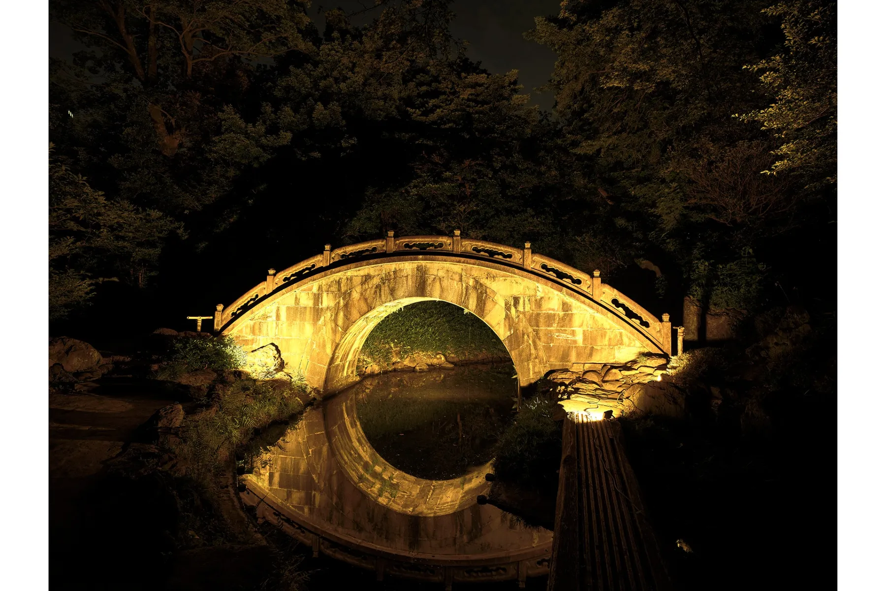 夜間特別開園 秋の夜長の小石川後楽園2025_3