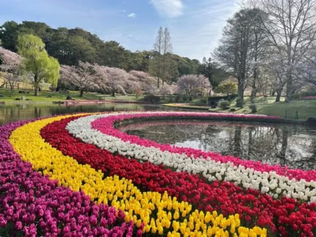 浜名湖花フェスタ2026