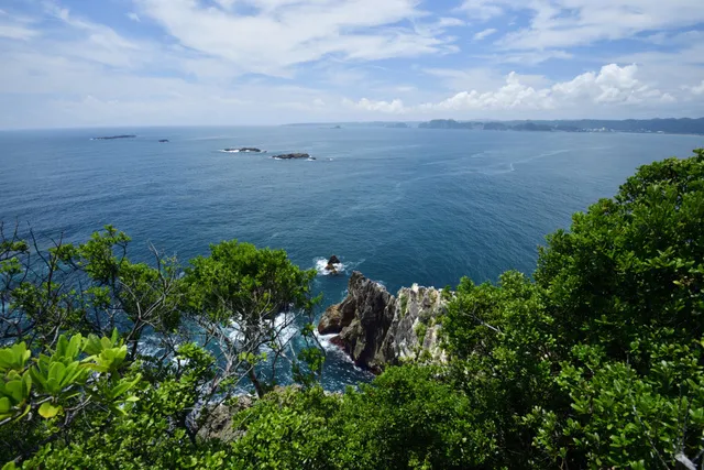 「鯨とともに生きる」日本遺産ウォークin宇久井半島