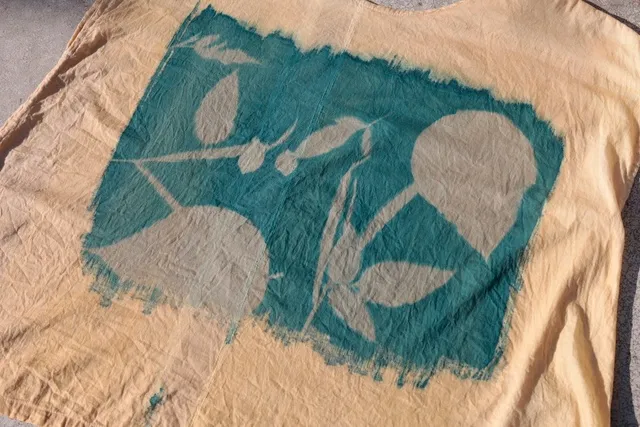 サイアノタイプ体験