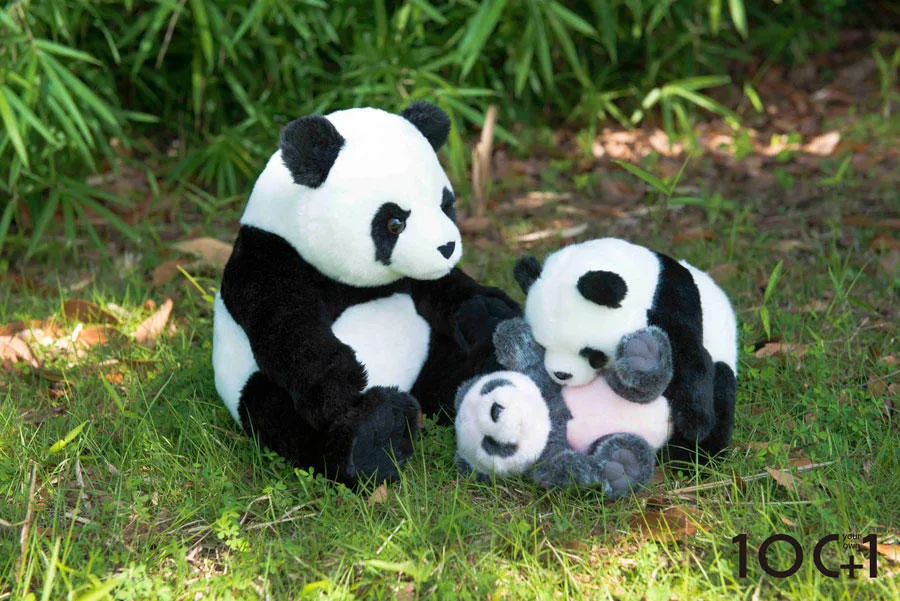 SHIBUYA ZOO スペースJ ~「連れて帰れる」300匹のぬいぐるみ動物園~ SHIBUYA ZOO スペースJ ~「連れて帰れる」300匹のぬいぐるみ動物園~