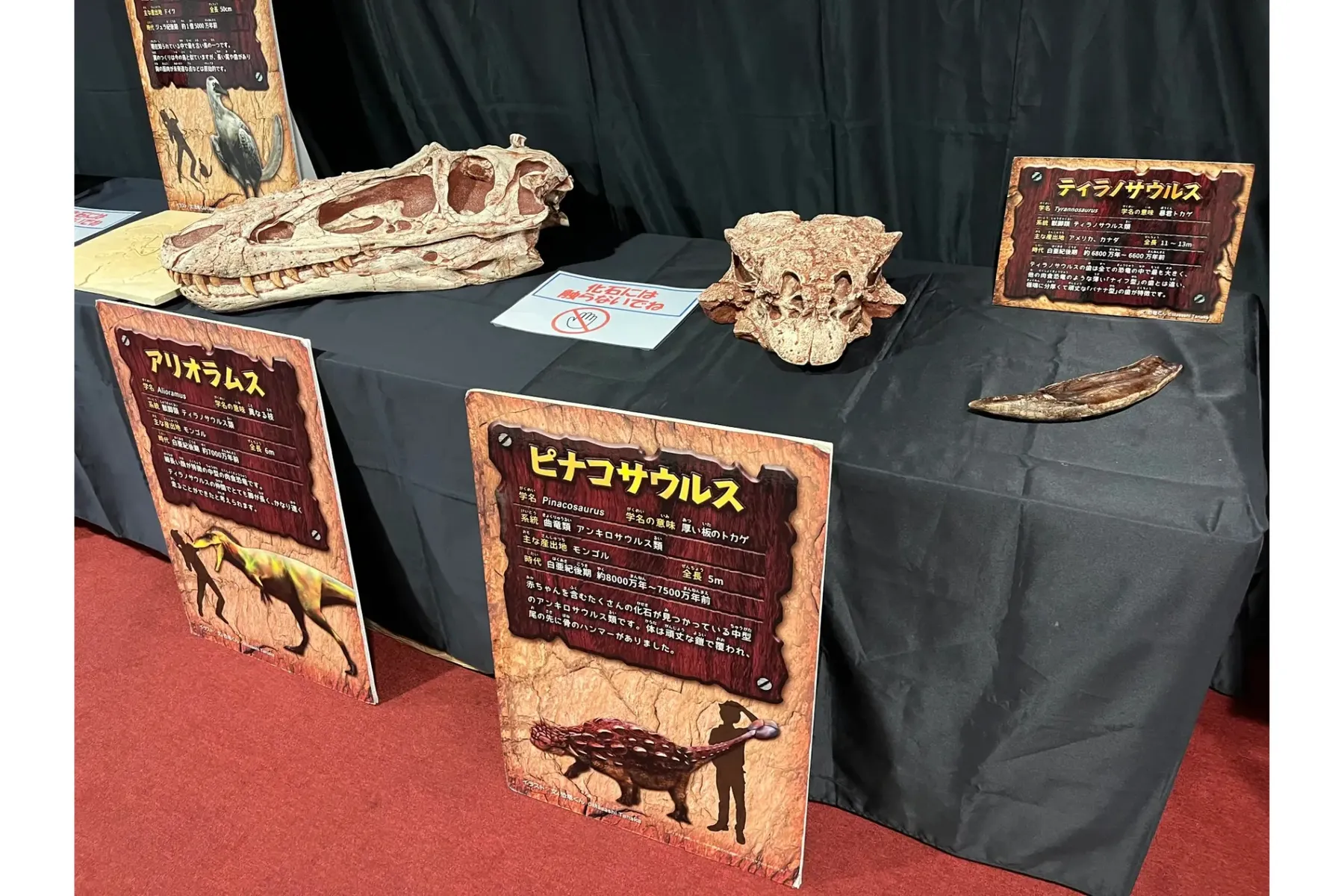 リアル恐竜ショー 恐竜パーク_6