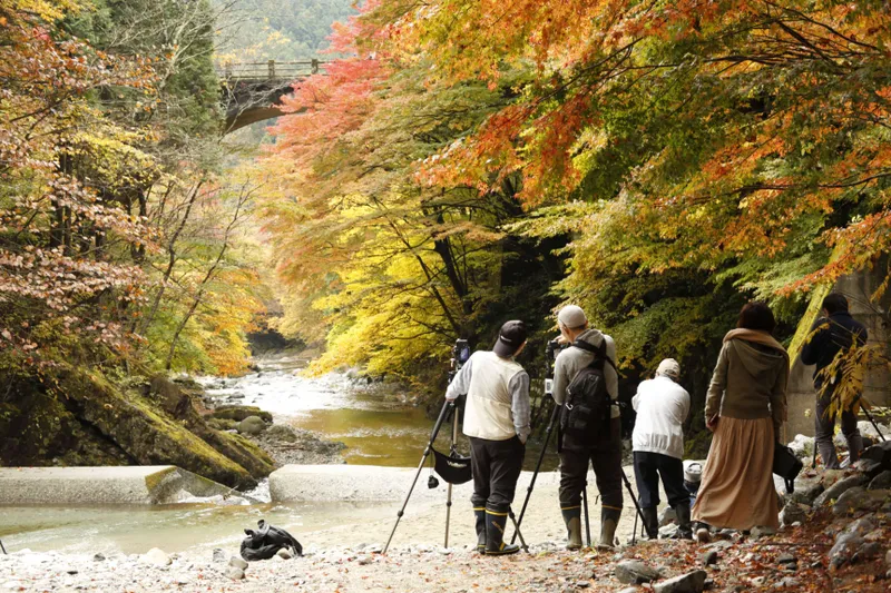 大芦渓谷の紅葉情報_2