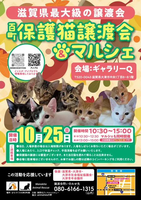 百町保護猫譲渡会＆マルシェ