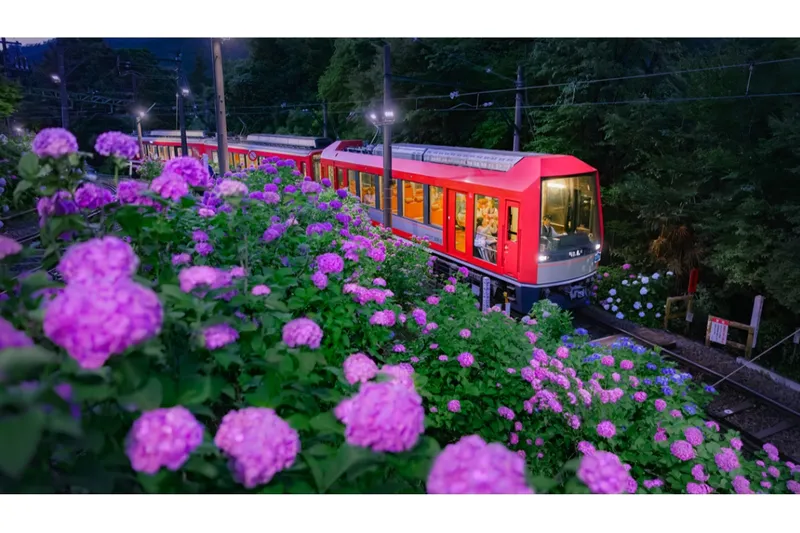 夜のあじさい号・夜間ライトアップ