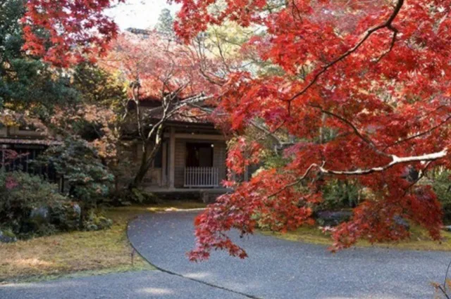 【紅葉・見ごろ】中野邸記念館 （石油王の邸宅）