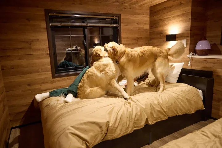 エルズパーク冒犬隊～宝箱の封印を解け！～_12