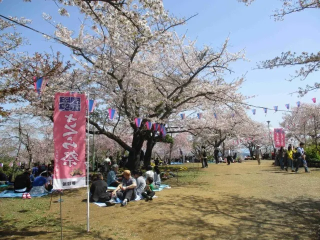 第74回　衣笠さくら祭