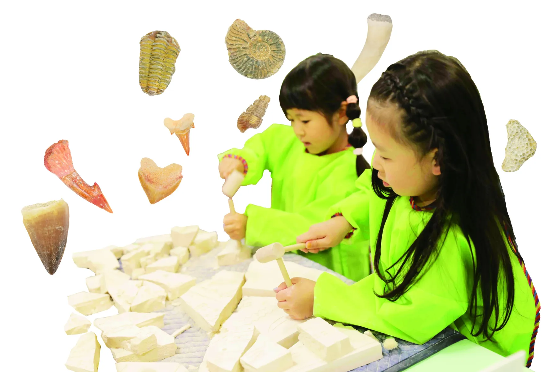 「YAESU KIDS EXPO 2026 ダイナソーラボ」～東京ミッドタウン八重洲でティラノサウルスと学ぼう！～_5
