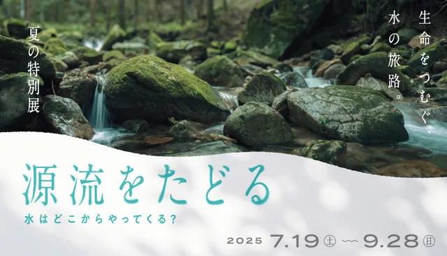 夏の特別展「源流をたどる 水はどこからやってくる？」