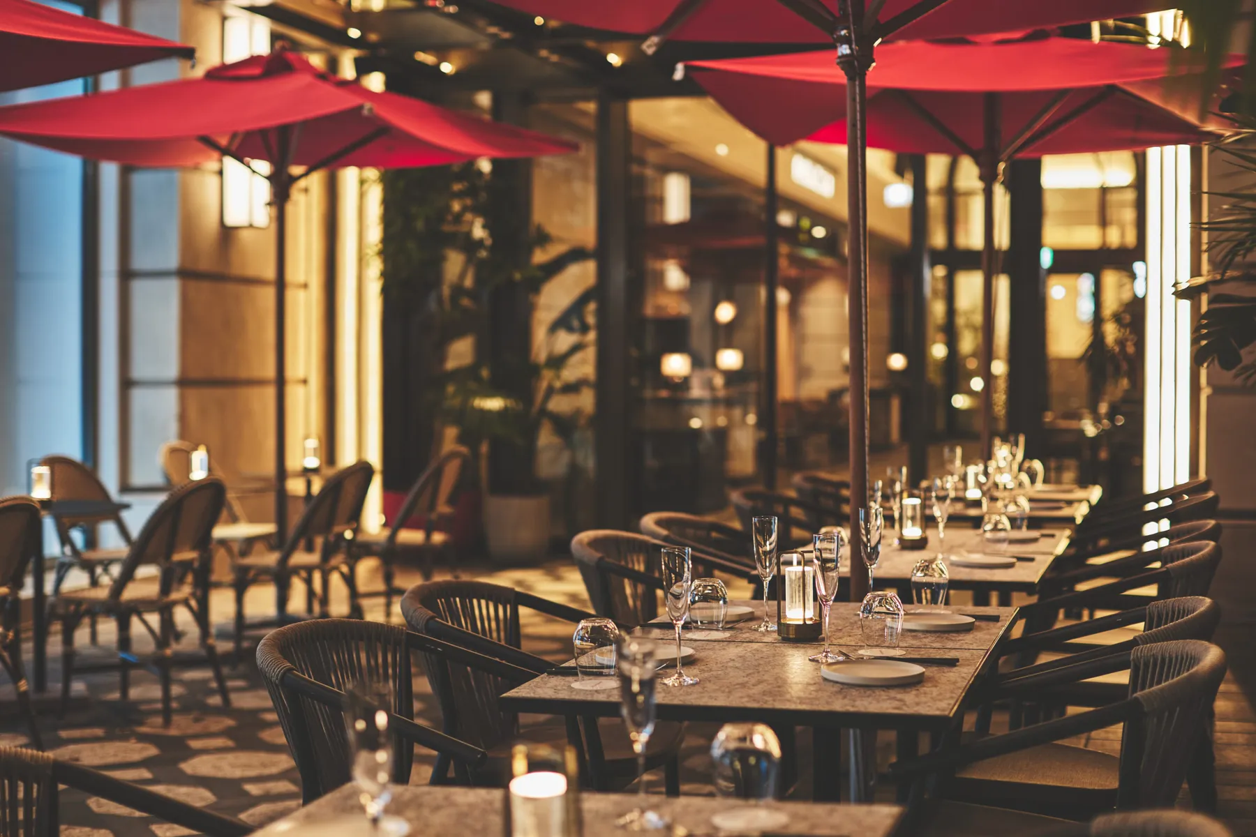 Celebrate Illumination_5