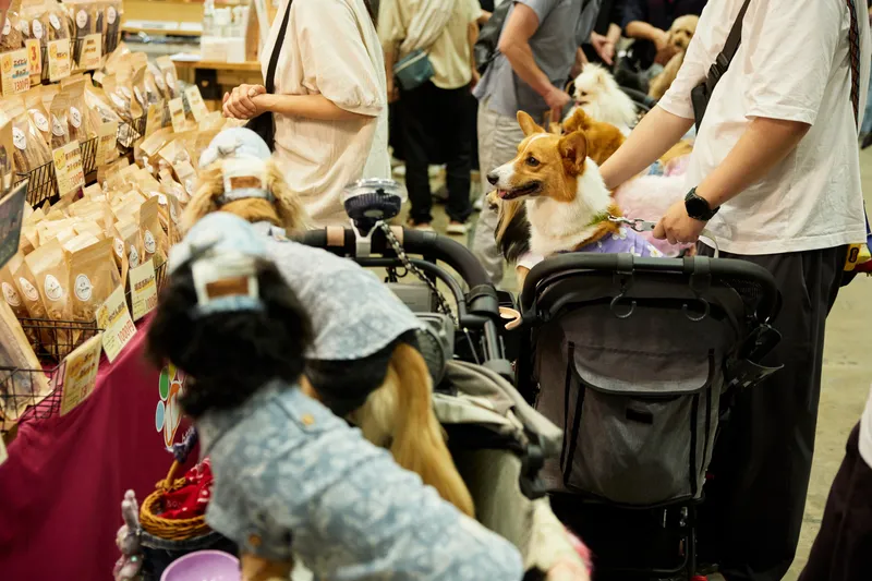 TOKYO DOG SHOW 2026（東京ドッグショー2026）