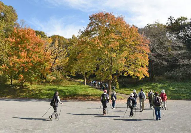 ノルディックウォーキング歩こう会（11月）