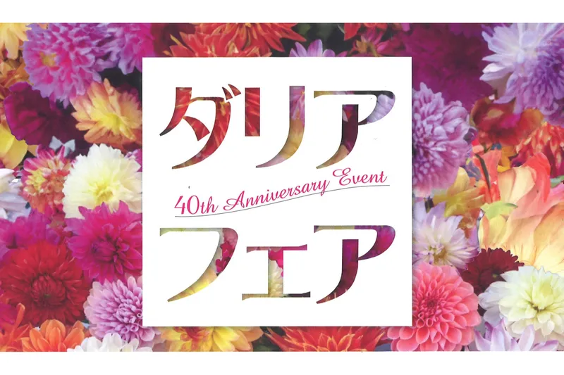 ダリアフェア