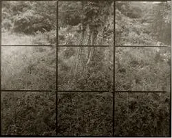 Koichiro Kurita 