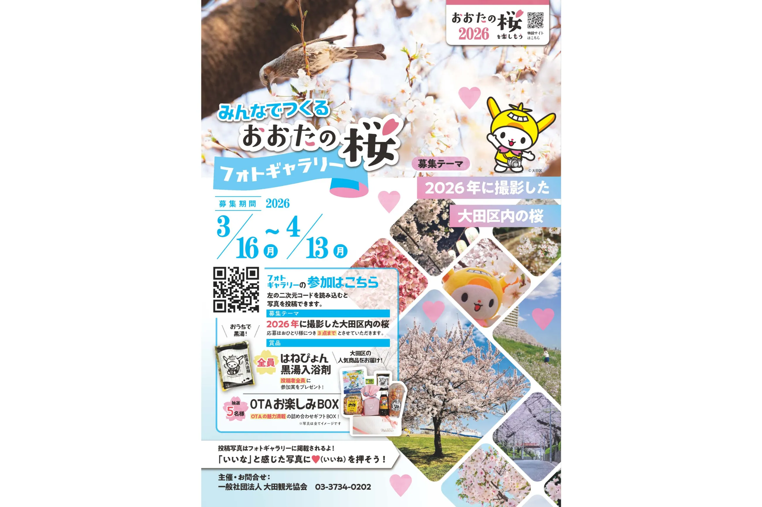 おおたの桜を楽しもう2026