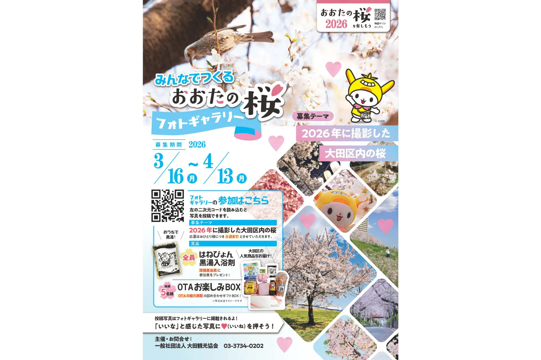 おおたの桜を楽しもう2026_6