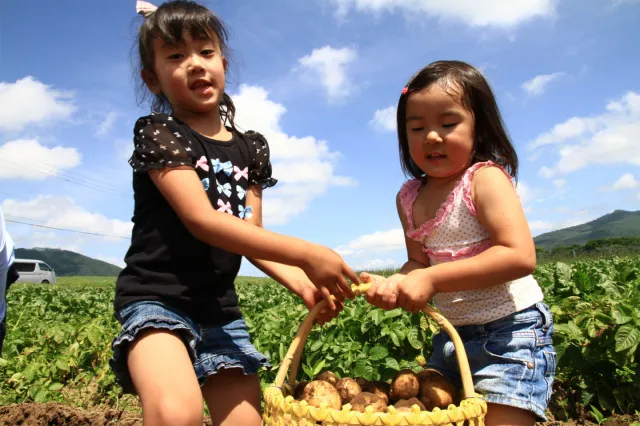 ルスツリゾート　とりたて野菜もぐもぐ体験